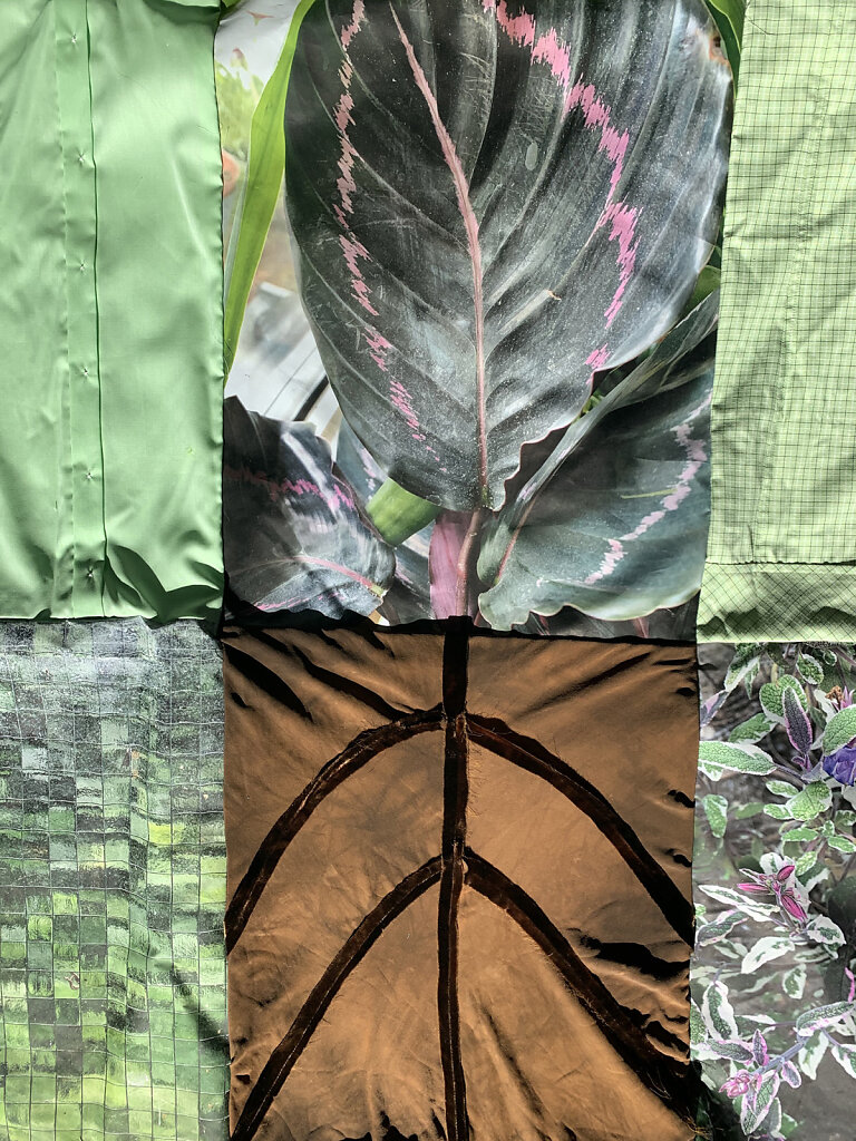 Flora Incognita I 2020